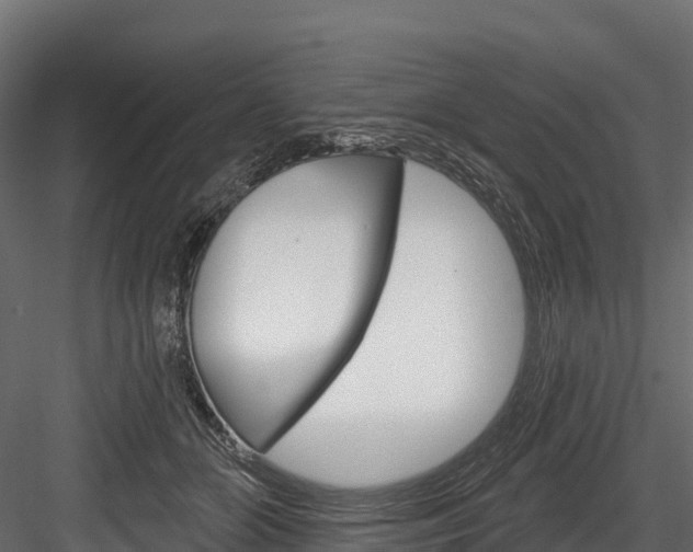 X0000084560510200702231005