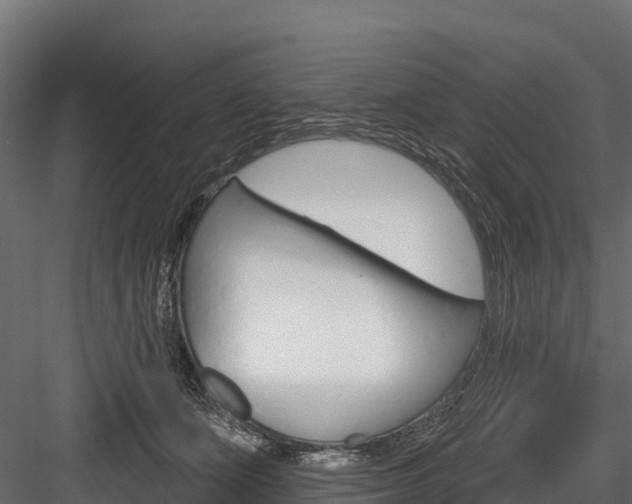 X0000084560511200702231005