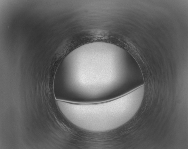 X0000084560512200702231005