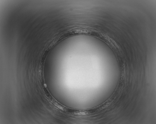 X0000084560513200702231005