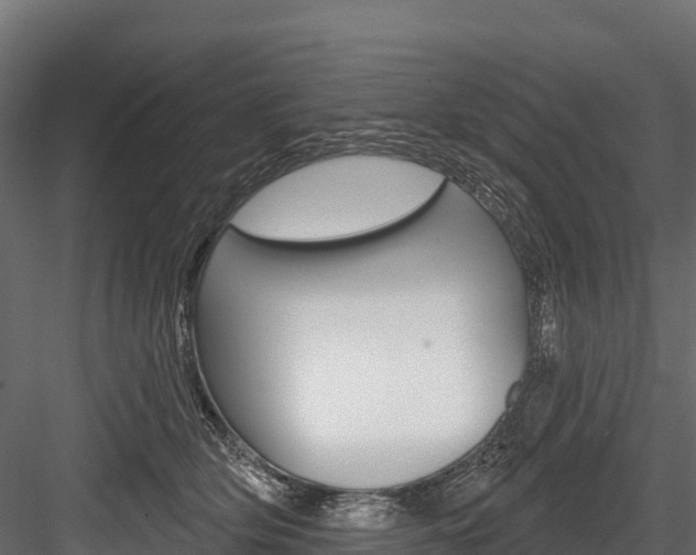 X0000084560514200702231005