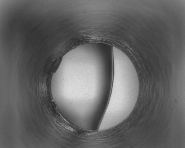 X0000084560516200702231005