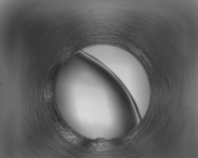 X0000084560517200702231005