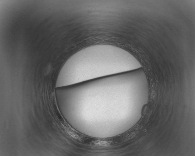 X0000084560518200702231005