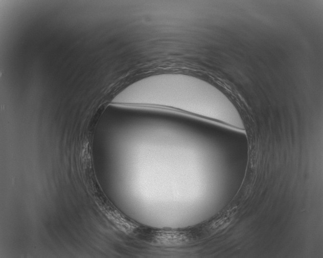 X0000084560521200702231005