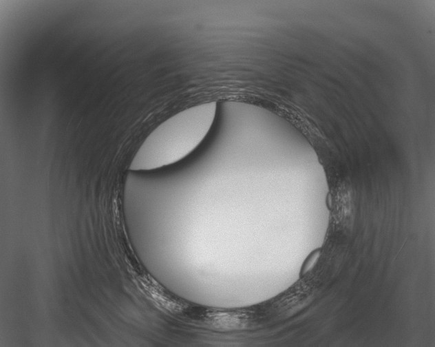 X0000084560522200702231005