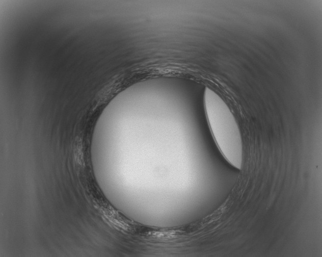X0000084560524200702231005