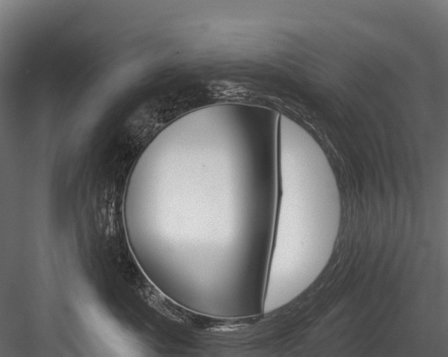X0000084560525200702231005