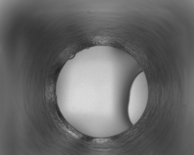 X0000084560526200702231005