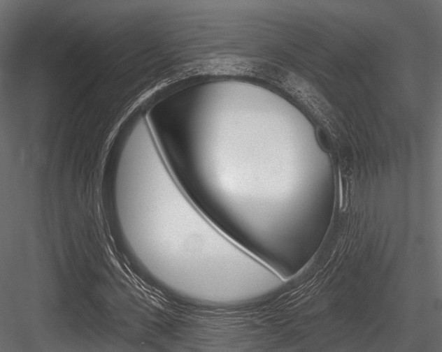 X0000084560531200702231004