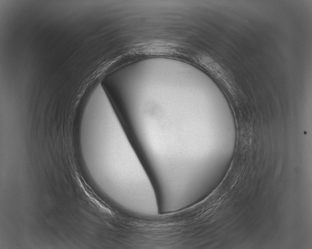 X0000084560533200702231004