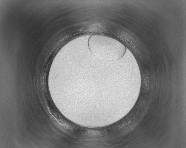 X0000084560534200702231004
