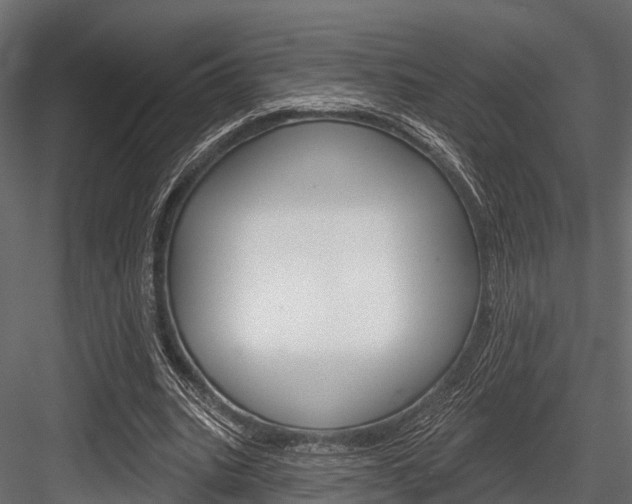 X0000084560535200702231004