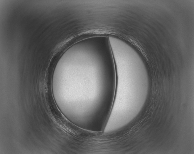 X0000084560536200702231004