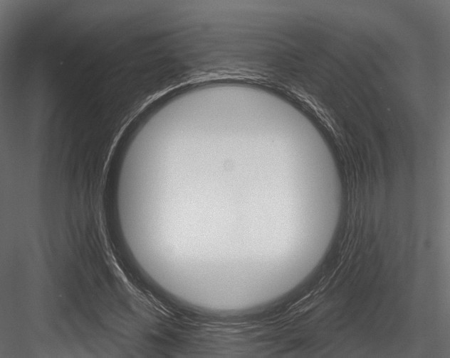 X0000084560540200702231004