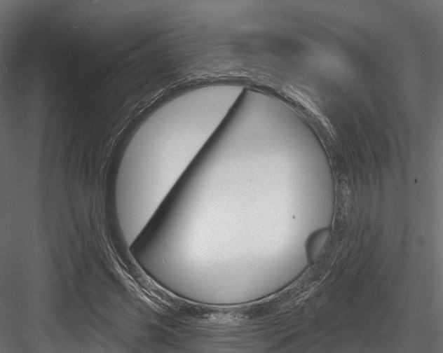 X0000084560541200702231004