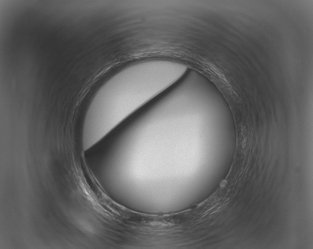 X0000084560542200702231004