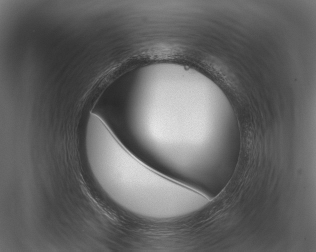 X0000084560543200702231004