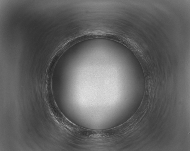 X0000084560544200702231004
