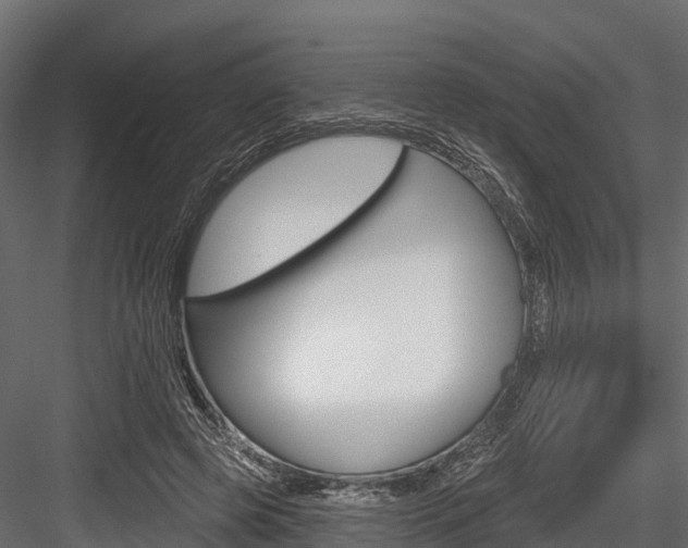 X0000084560545200702231004