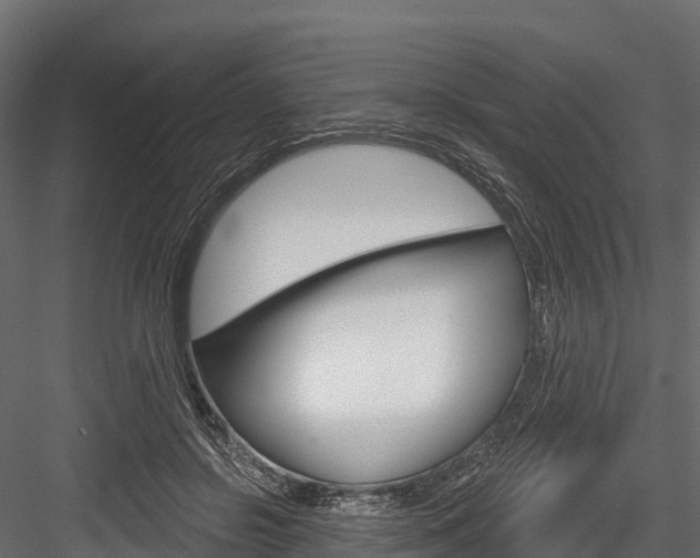 X0000084560550200702231004