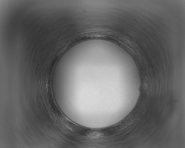 X0000084560551200702231004