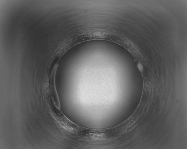 X0000084560552200702231004