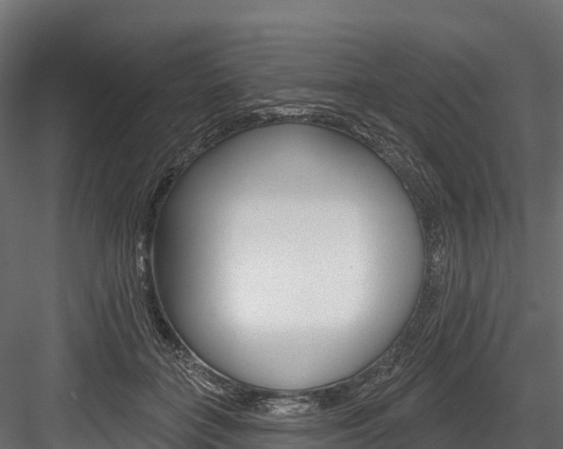 X0000084560555200702231004