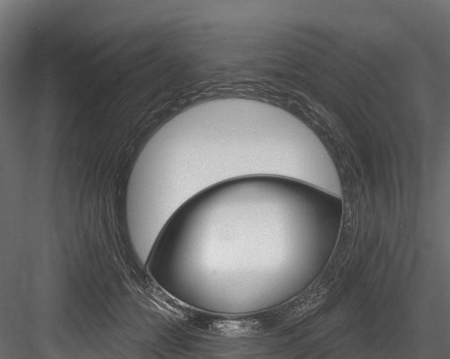 X0000084560558200702231004