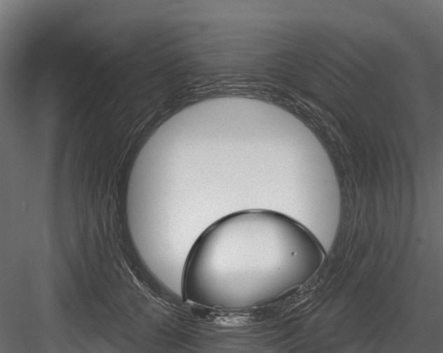 X0000084560560200702231004