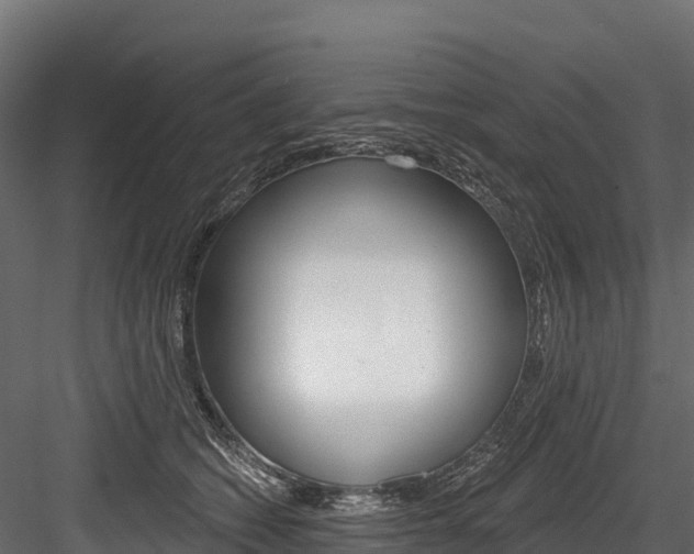 X0000084560562200702231004