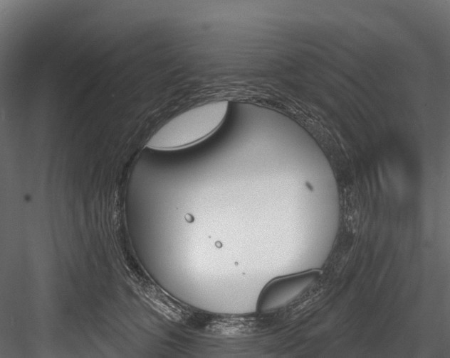 X0000084560563200702231004