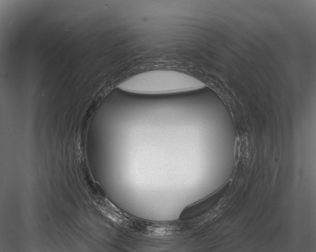 X0000084560564200702231004
