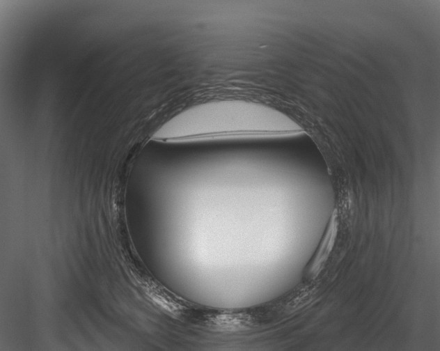 X0000084560566200702231004