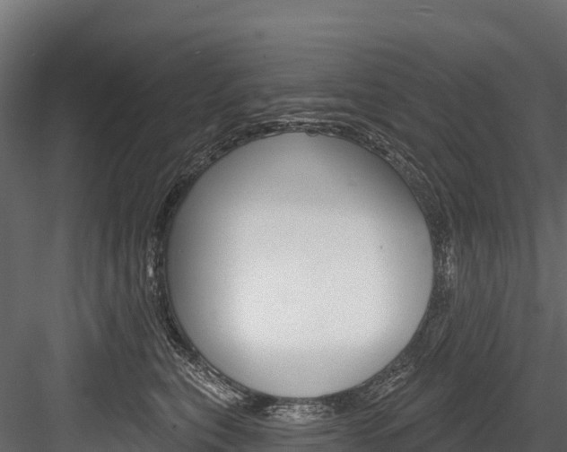 X0000084560567200702231005