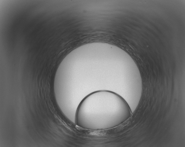 X0000084560568200702231005