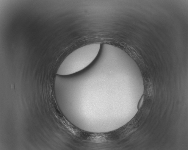 X0000084560569200702231005