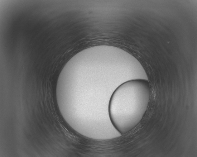 X0000084560570200702231005