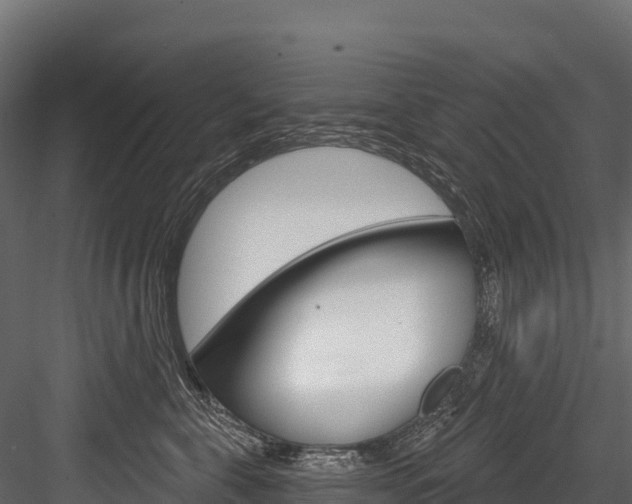 X0000084560571200702231005