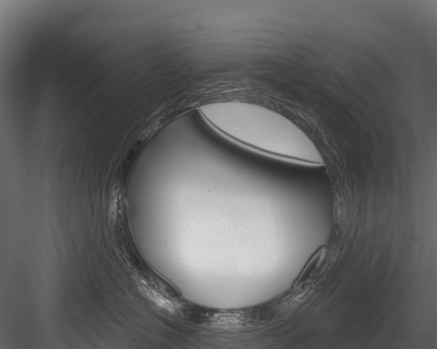 X0000084560574200702231005