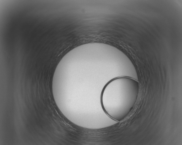 X0000084560576200702231005