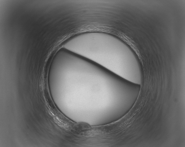 X0000084560578200702231004