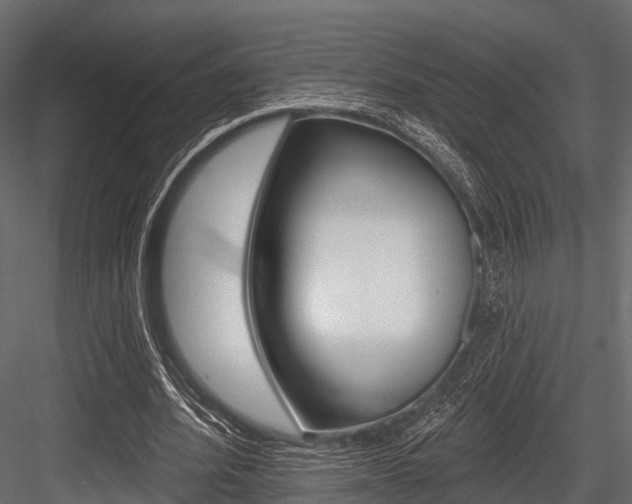 X0000084560580200702231004