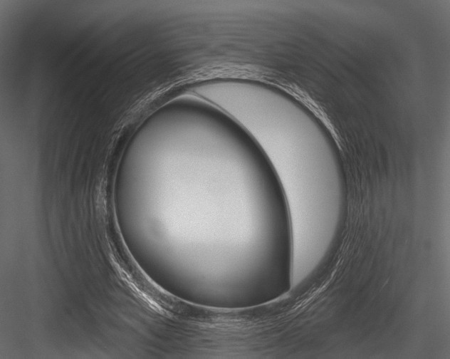 X0000084560581200702231004