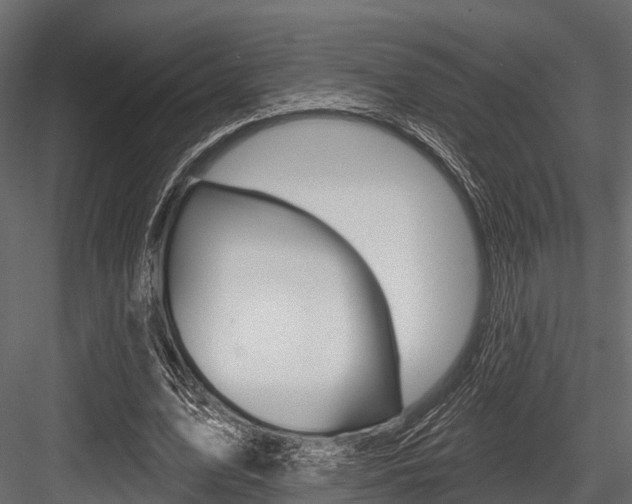 X0000084560583200702231004