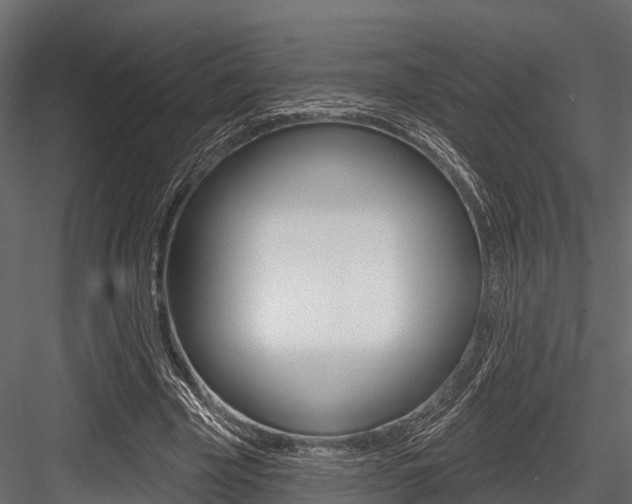 X0000084560585200702231004