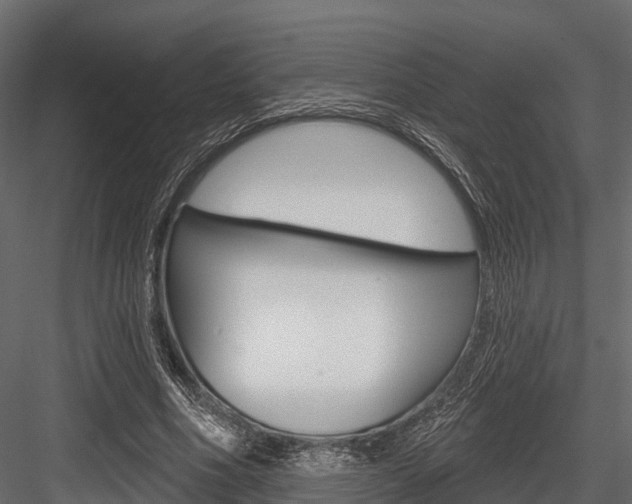 X0000084560586200702231004