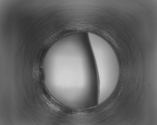 X0000084560593200702231004