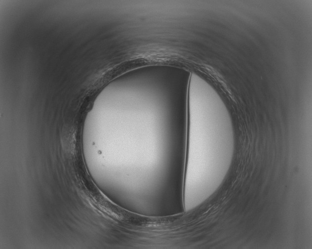 X0000084560596200702231004