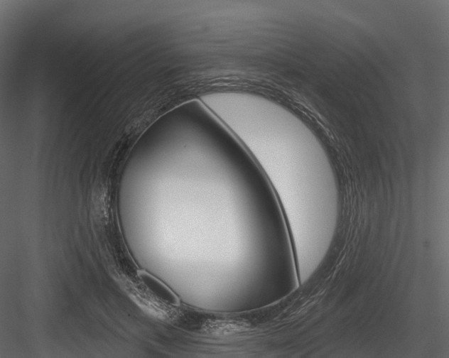X0000084560597200702231004